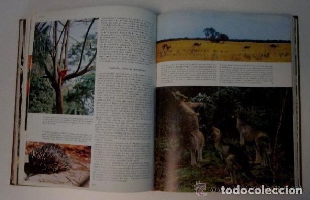 Libros de segunda mano: LA VIDA DE LOS ANIMALES - 3 TOMOS - Foto 4