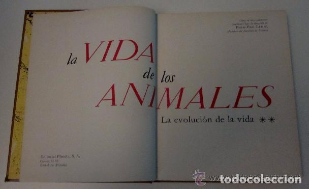Libros de segunda mano: LA VIDA DE LOS ANIMALES - 3 TOMOS - Foto 5