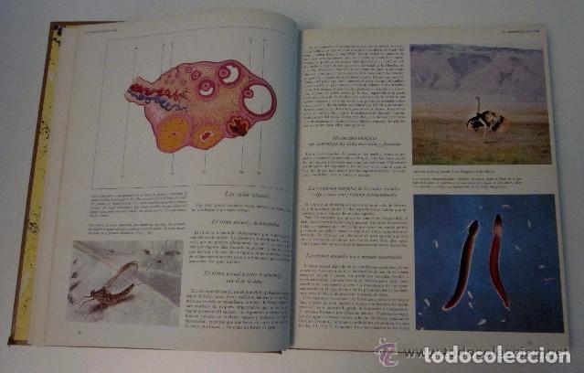Libros de segunda mano: LA VIDA DE LOS ANIMALES - 3 TOMOS - Foto 6