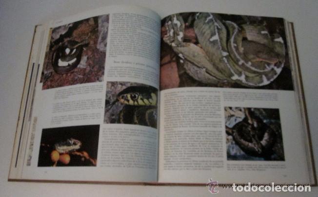 Libros de segunda mano: LA VIDA DE LOS ANIMALES - 3 TOMOS - Foto 9