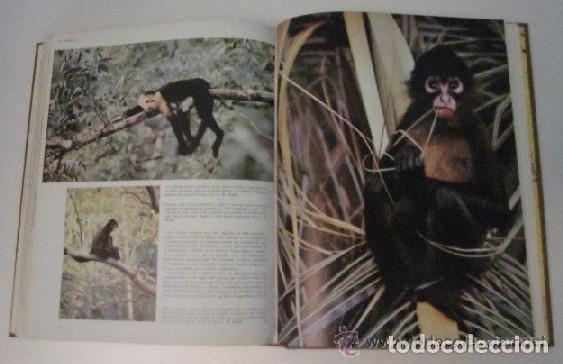 Libros de segunda mano: LA VIDA DE LOS ANIMALES - 3 TOMOS - Foto 10