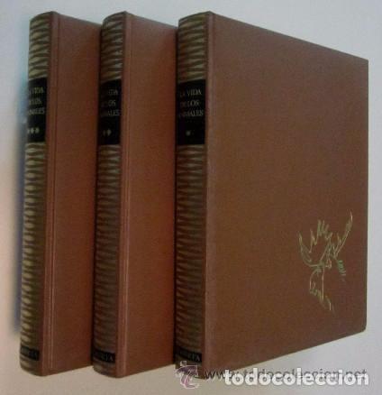 Libros de segunda mano: LA VIDA DE LOS ANIMALES - 3 TOMOS - Foto 11