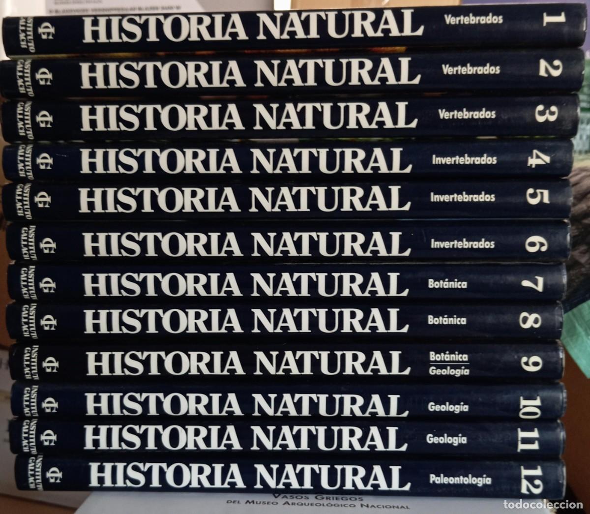 Libros de segunda mano: HISTORIA NATURAL - 12 TOMOS - INSTITUTO GALLACH - Foto 1