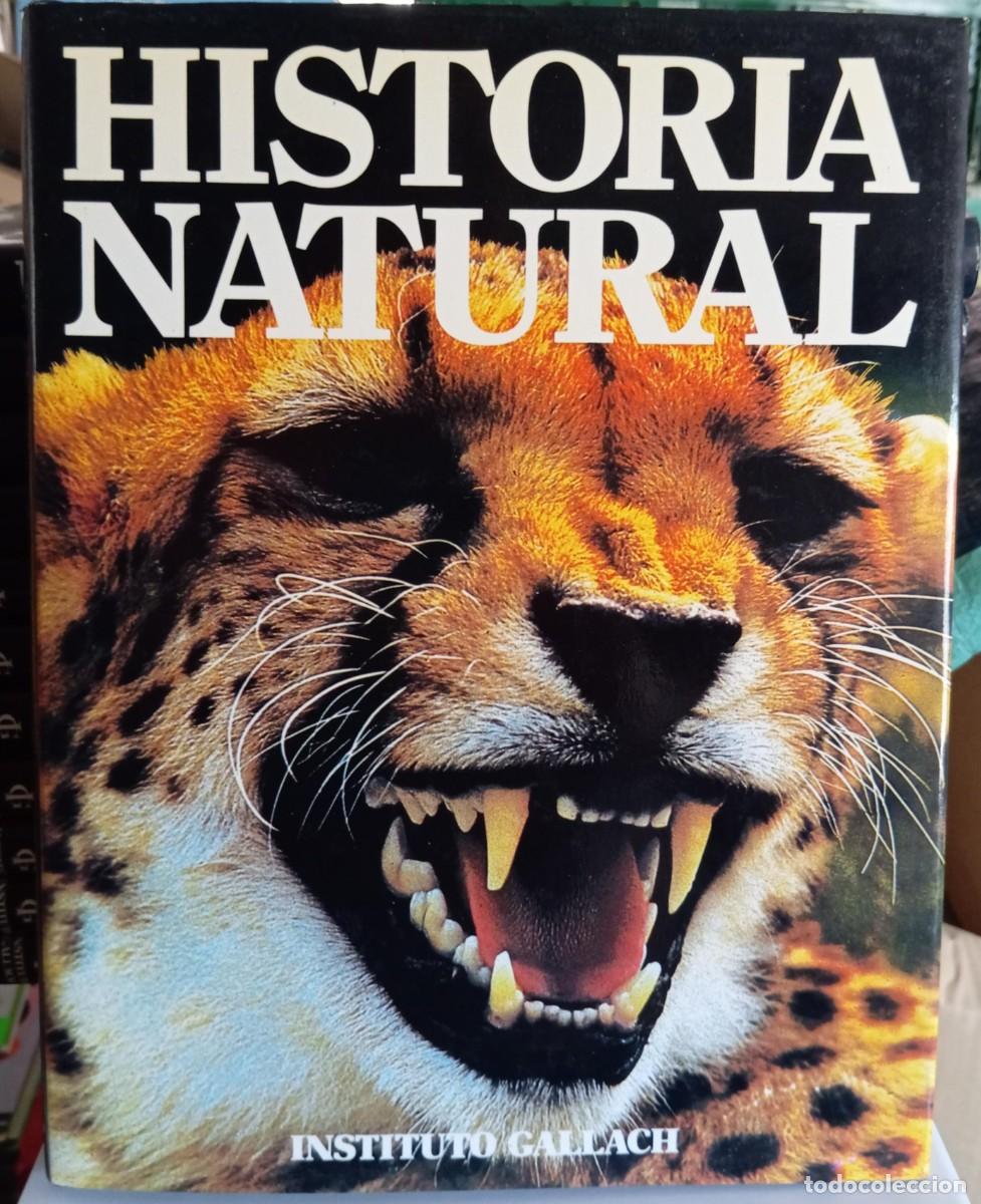 Libros de segunda mano: HISTORIA NATURAL - 12 TOMOS - INSTITUTO GALLACH - Foto 2