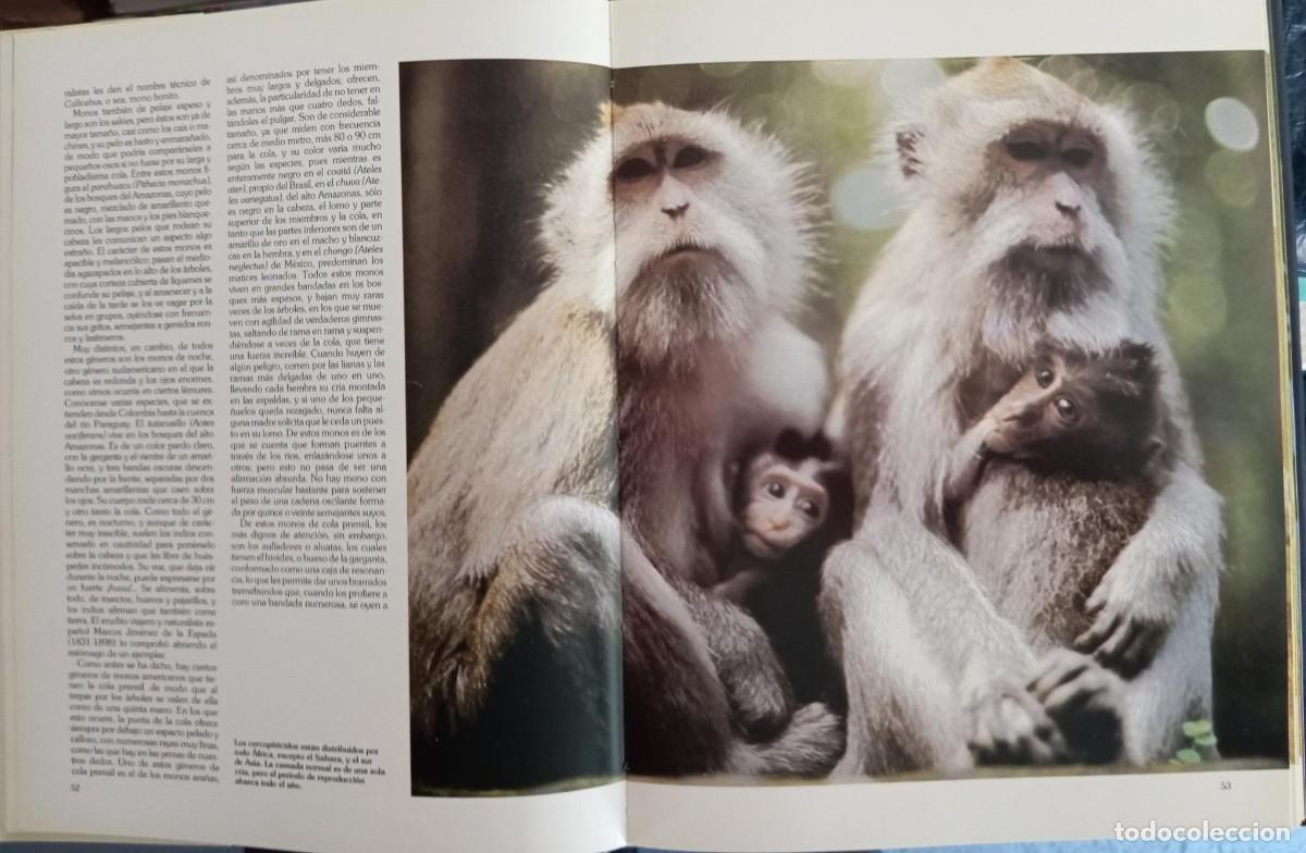 Libros de segunda mano: HISTORIA NATURAL - 12 TOMOS - INSTITUTO GALLACH - Foto 4