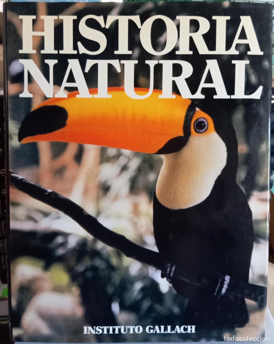 Libros de segunda mano: HISTORIA NATURAL - 12 TOMOS - INSTITUTO GALLACH - Foto 5