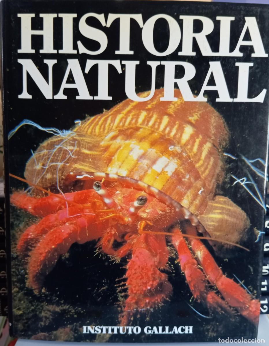 Libros de segunda mano: HISTORIA NATURAL - 12 TOMOS - INSTITUTO GALLACH - Foto 6