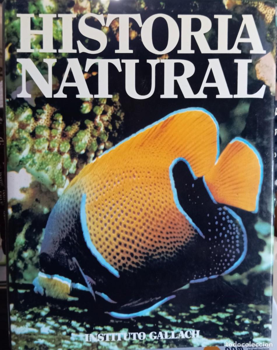 Libros de segunda mano: HISTORIA NATURAL - 12 TOMOS - INSTITUTO GALLACH - Foto 7
