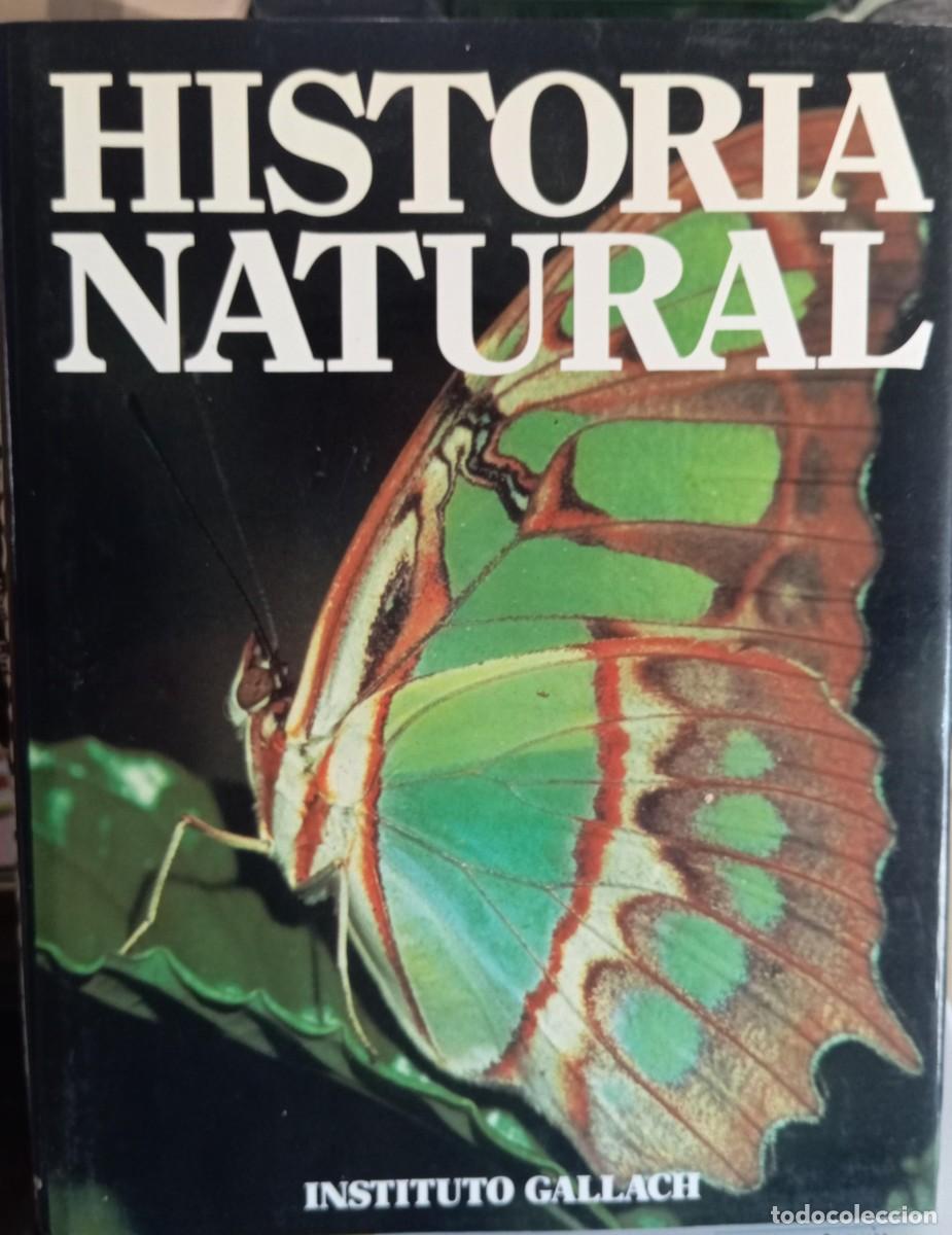 Libros de segunda mano: HISTORIA NATURAL - 12 TOMOS - INSTITUTO GALLACH - Foto 8