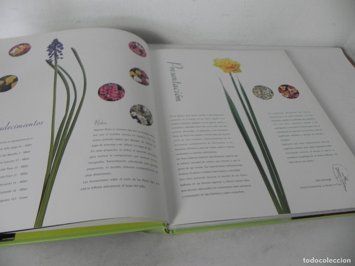 Libros de segunda mano: EL A&Ntilde;O EN FLORES (MAIA BELTRAME) CIRCULO DE LECTORES Y EDIT. EVERETS-2000 - Foto 4