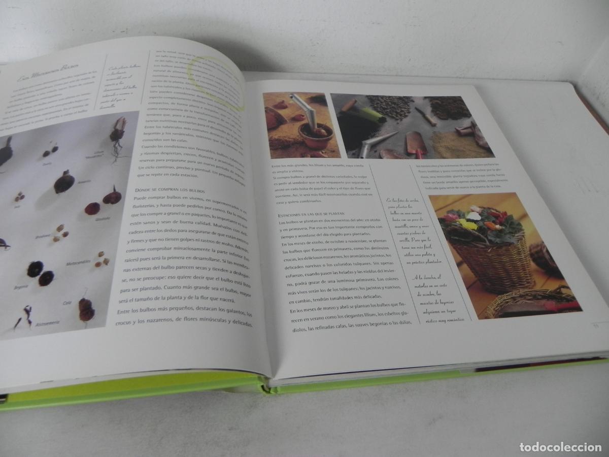 Libros de segunda mano: EL A&Ntilde;O EN FLORES (MAIA BELTRAME) CIRCULO DE LECTORES Y EDIT. EVERETS-2000 - Foto 5