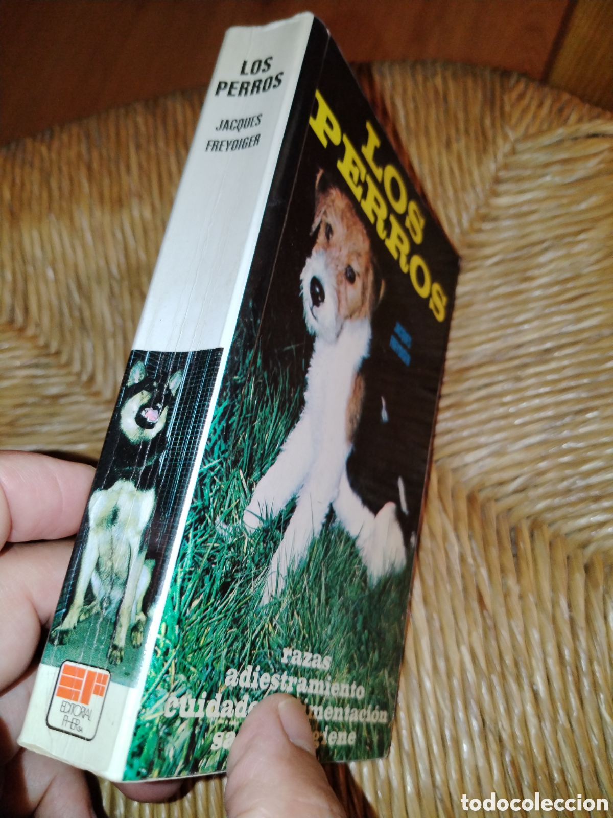 Libros de segunda mano: Los perros. Jacques Freydiger. Fher - Foto 2