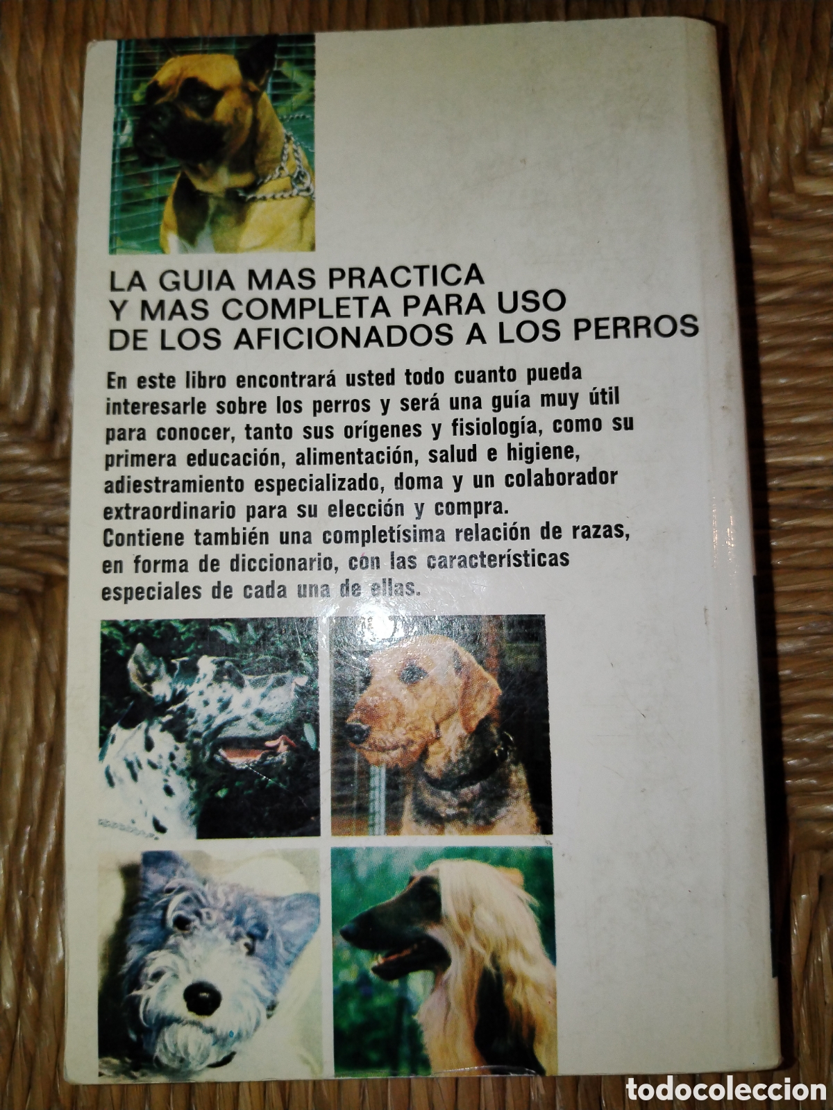 Libros de segunda mano: Los perros. Jacques Freydiger. Fher - Foto 3