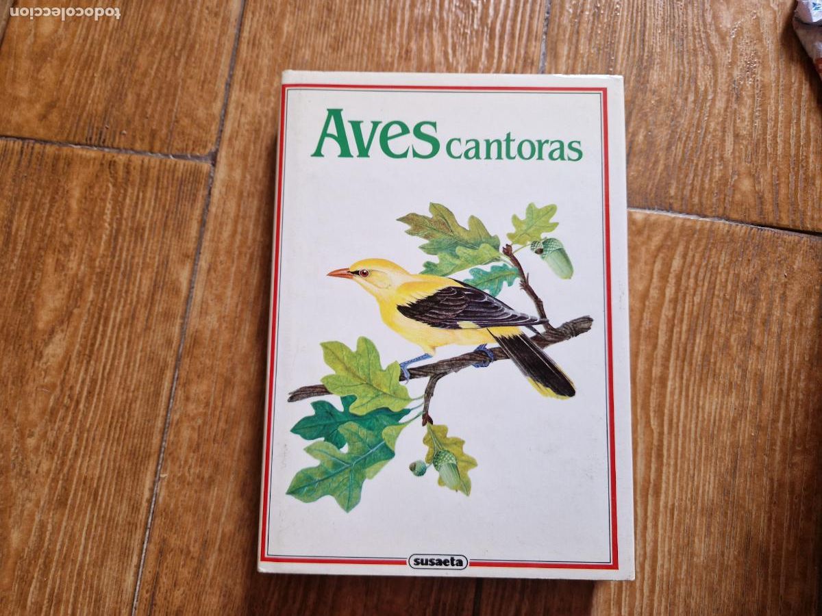 Libros de segunda mano: AVES CANTORAS EDITORIAL SUSAETA - Foto 1