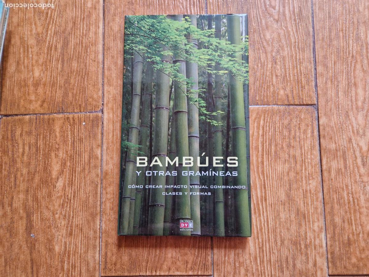 Libros de segunda mano: BAMB&Uacute;ES Y OTRAS GRAM&Iacute;NEAS. C&Oacute;MO CREAR IMPACTO VISUAL COMBINANDO CLASES Y FORMAS - Foto 1