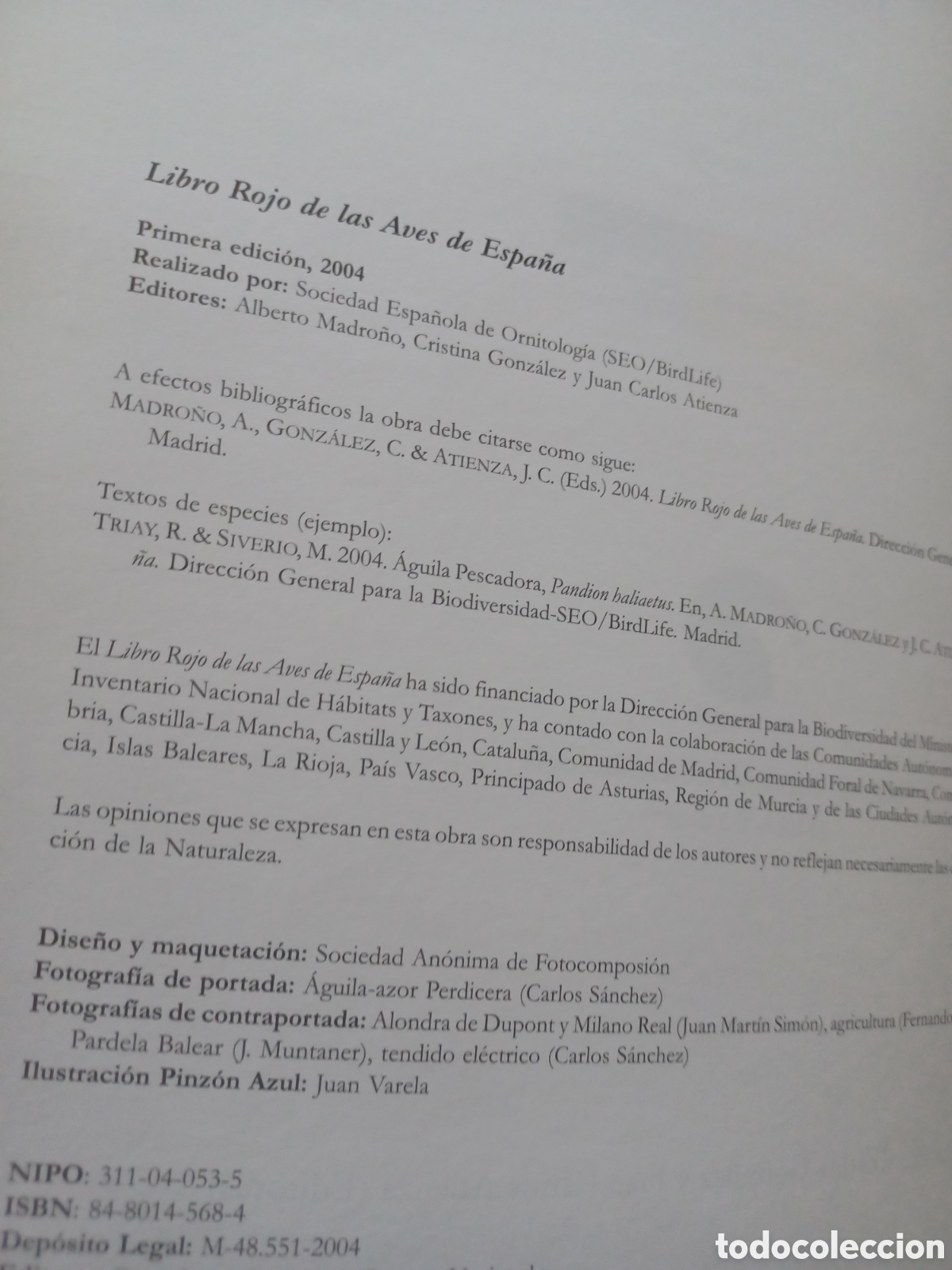 Libros de segunda mano: Barybook 180. Libro rojo de las aves de Espa&ntilde;a - Foto 4