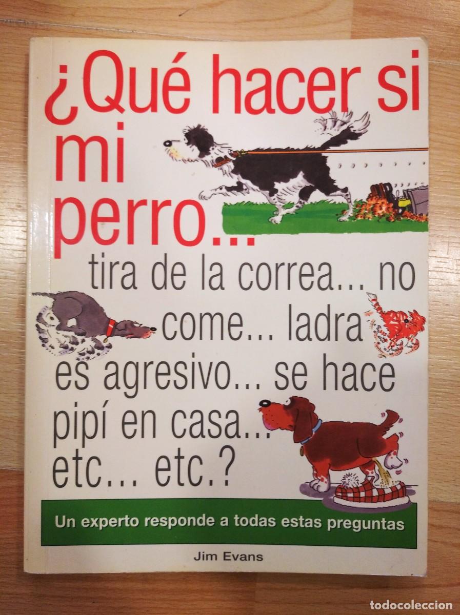 Libros de segunda mano: &iquest;Qu&eacute; hacer si mi perro...? - Foto 1