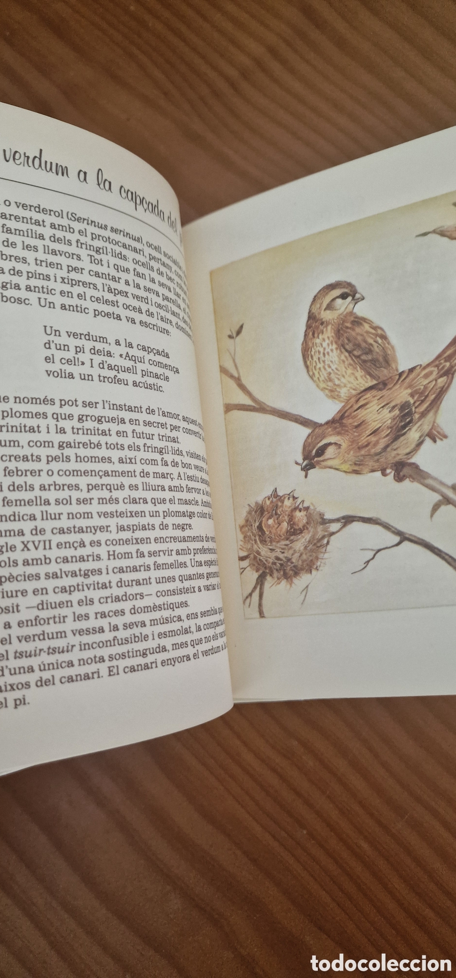 Libros de segunda mano: El llenguatge dels ocells - Foto 7