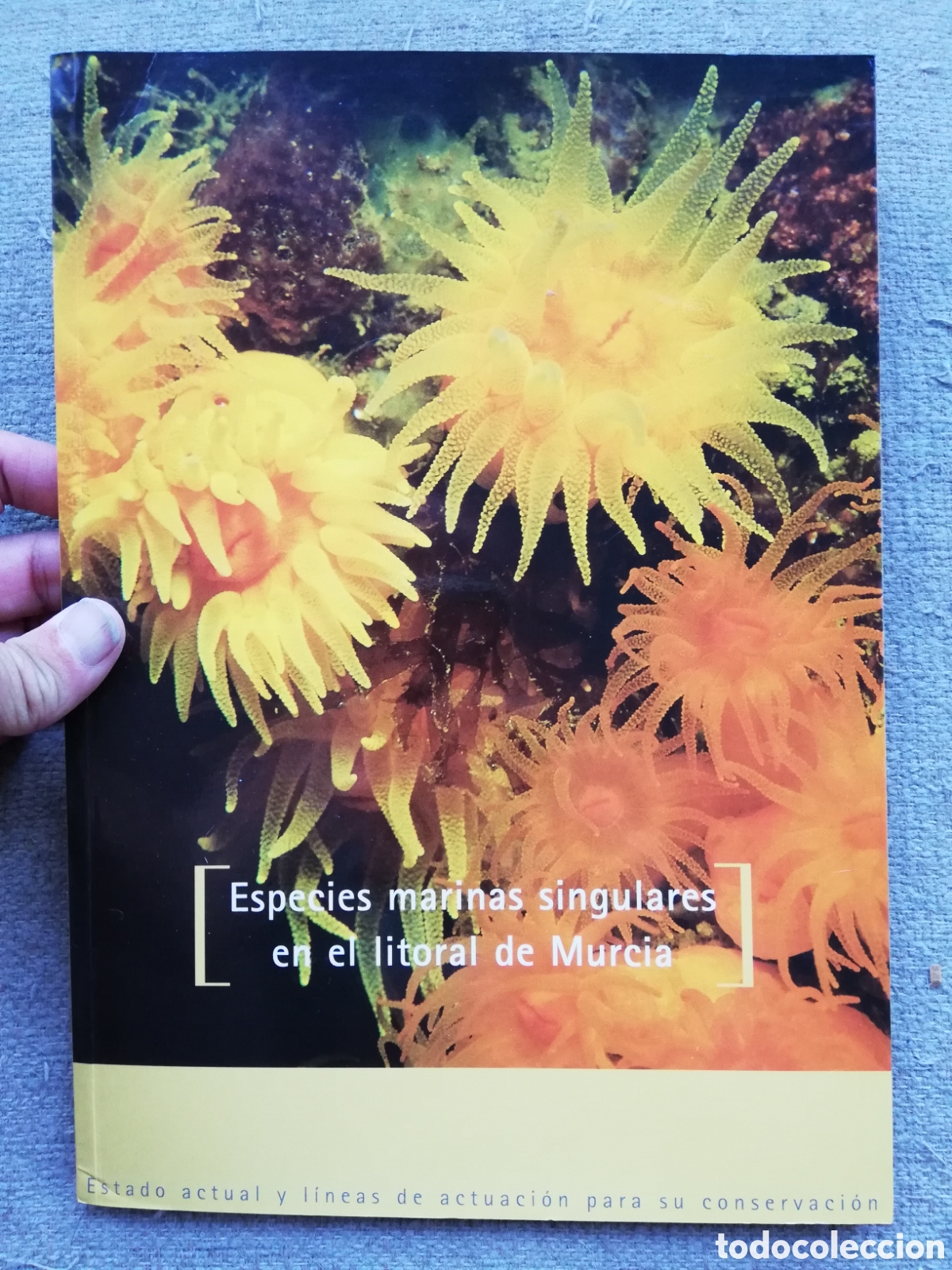 Libros de segunda mano: Especies marinas singulares en el litoral de Murcia - Foto 1