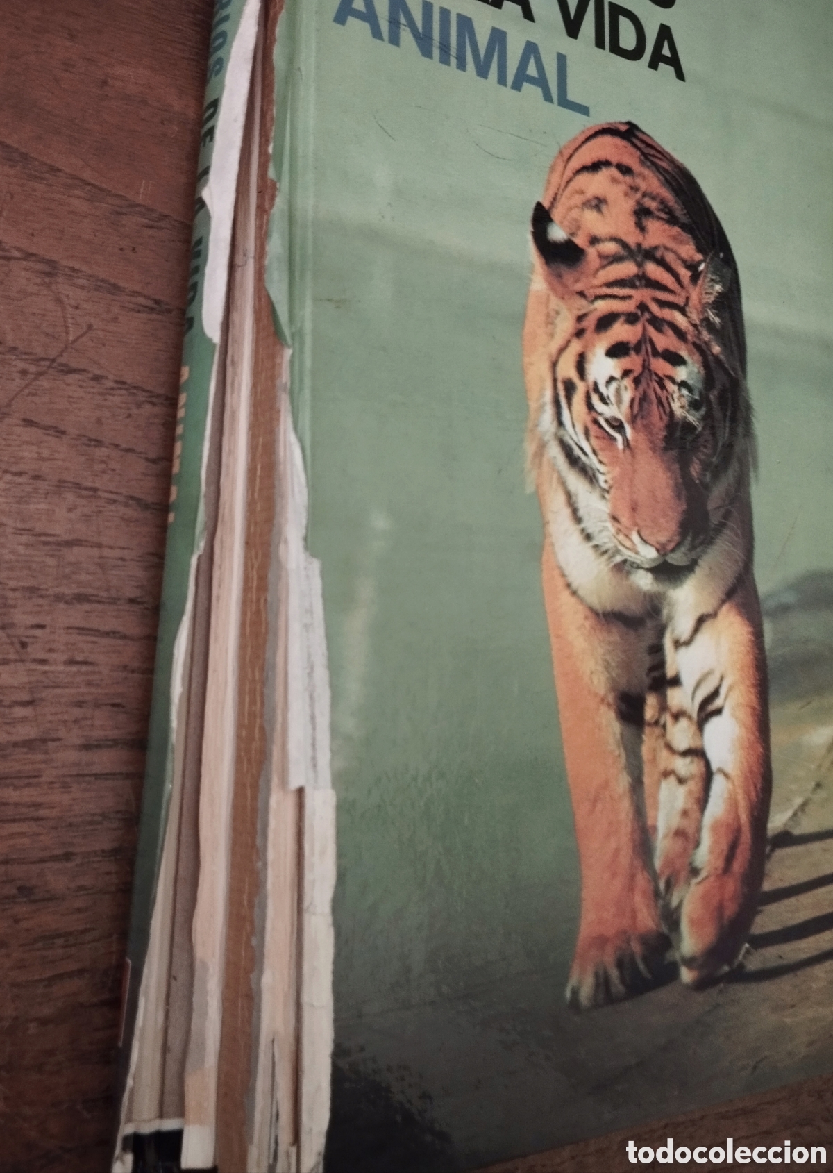 Libros de segunda mano: Libros de naturaleza - Foto 3