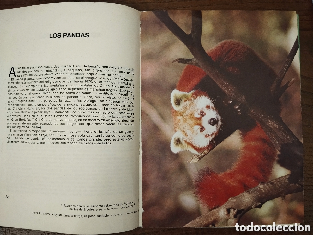 Libros de segunda mano: Libros de naturaleza - Foto 5