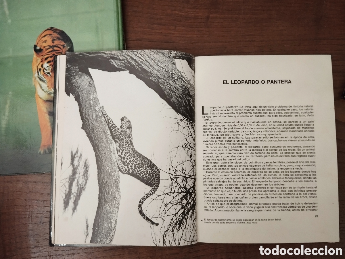 Libros de segunda mano: Libros de naturaleza - Foto 8