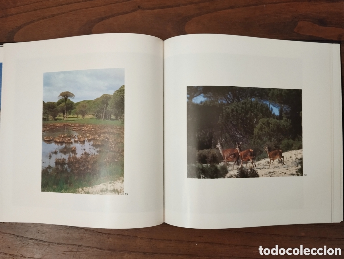 Libros de segunda mano: Libros de naturaleza - Foto 12