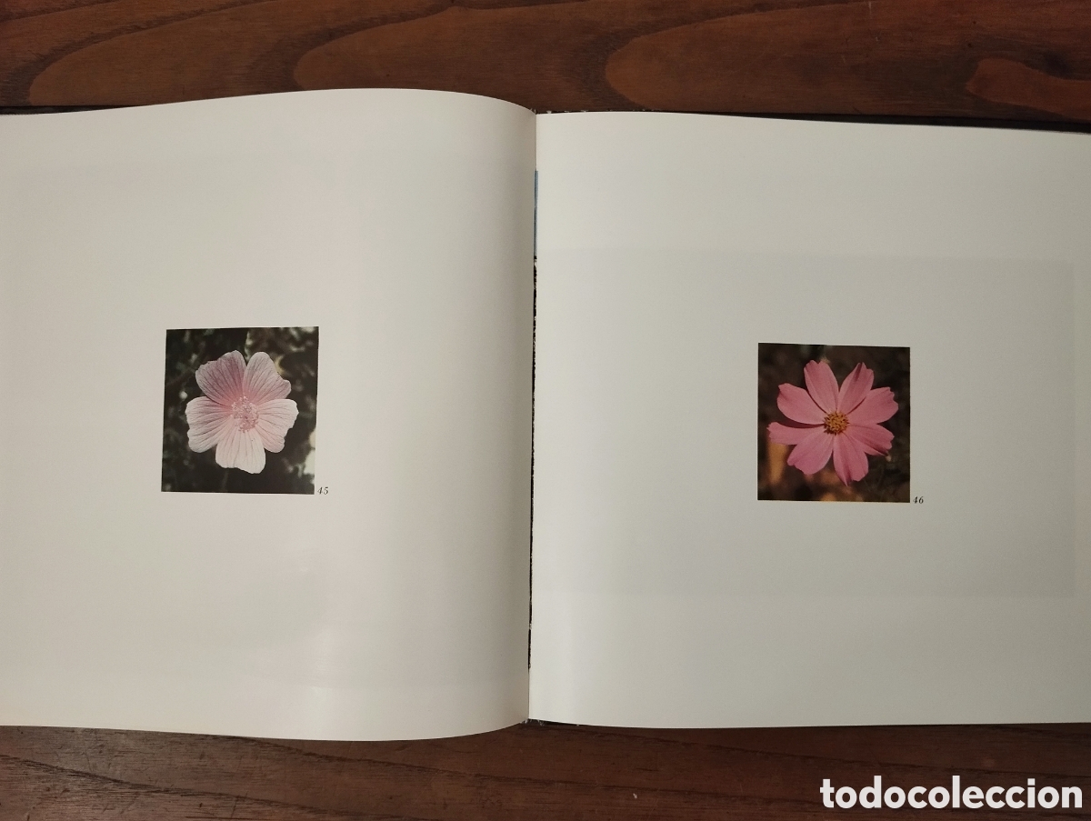 Libros de segunda mano: Libros de naturaleza - Foto 13