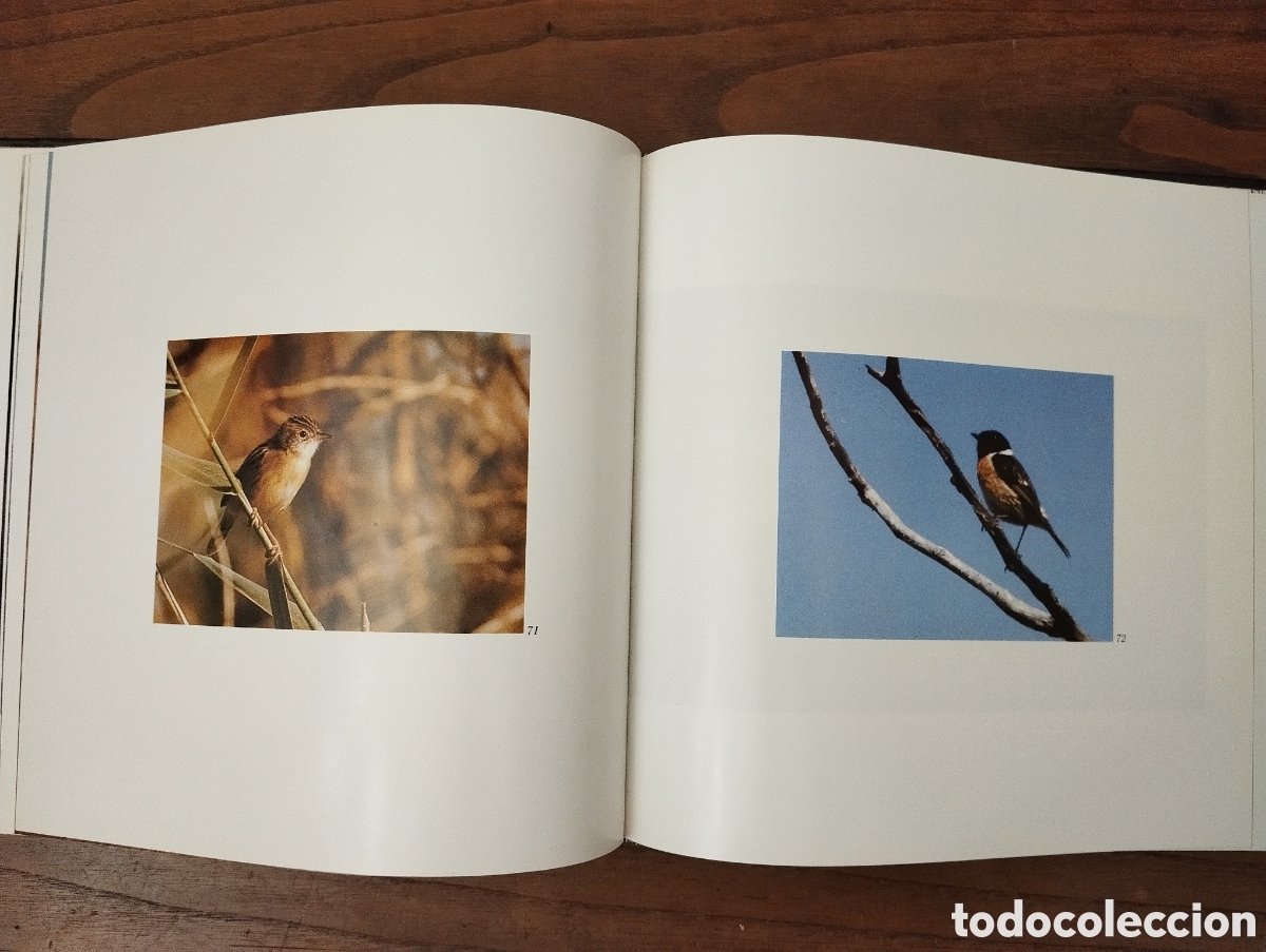 Libros de segunda mano: Libros de naturaleza - Foto 14