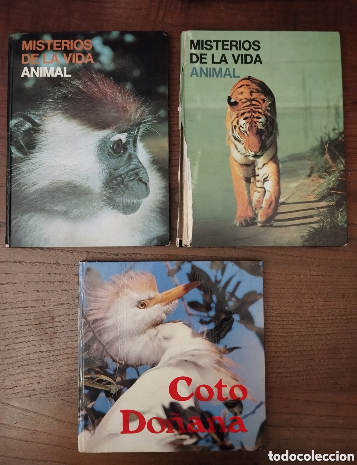 Libros de segunda mano: Libros de naturaleza - Foto 1