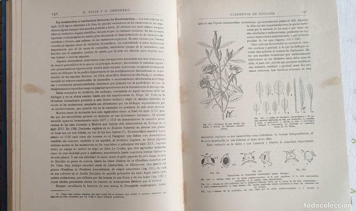 Libros de segunda mano: Elementos de Biolog&iacute;a. Rioja y Cendrero - Foto 6