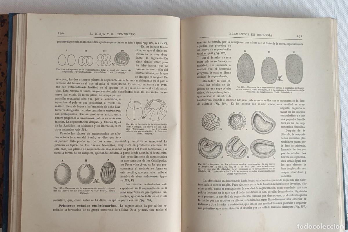 Libros de segunda mano: Elementos de Biolog&iacute;a. Rioja y Cendrero - Foto 7