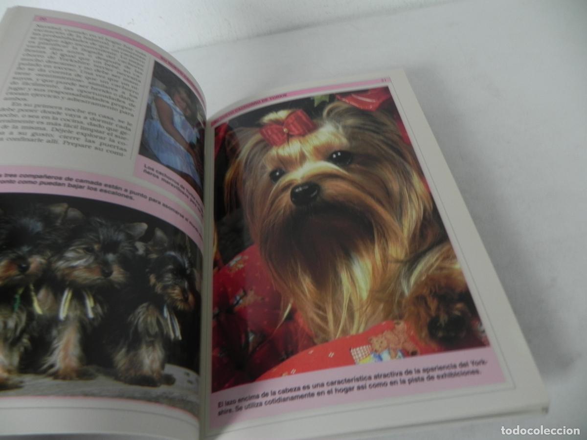 Libros de segunda mano: MANUAL PR&Aacute;CTICO DEL TORKSHIRE TERRIER (ELIZABETH DOWNIG) HISPANO EUROPEA-2002 - Foto 3