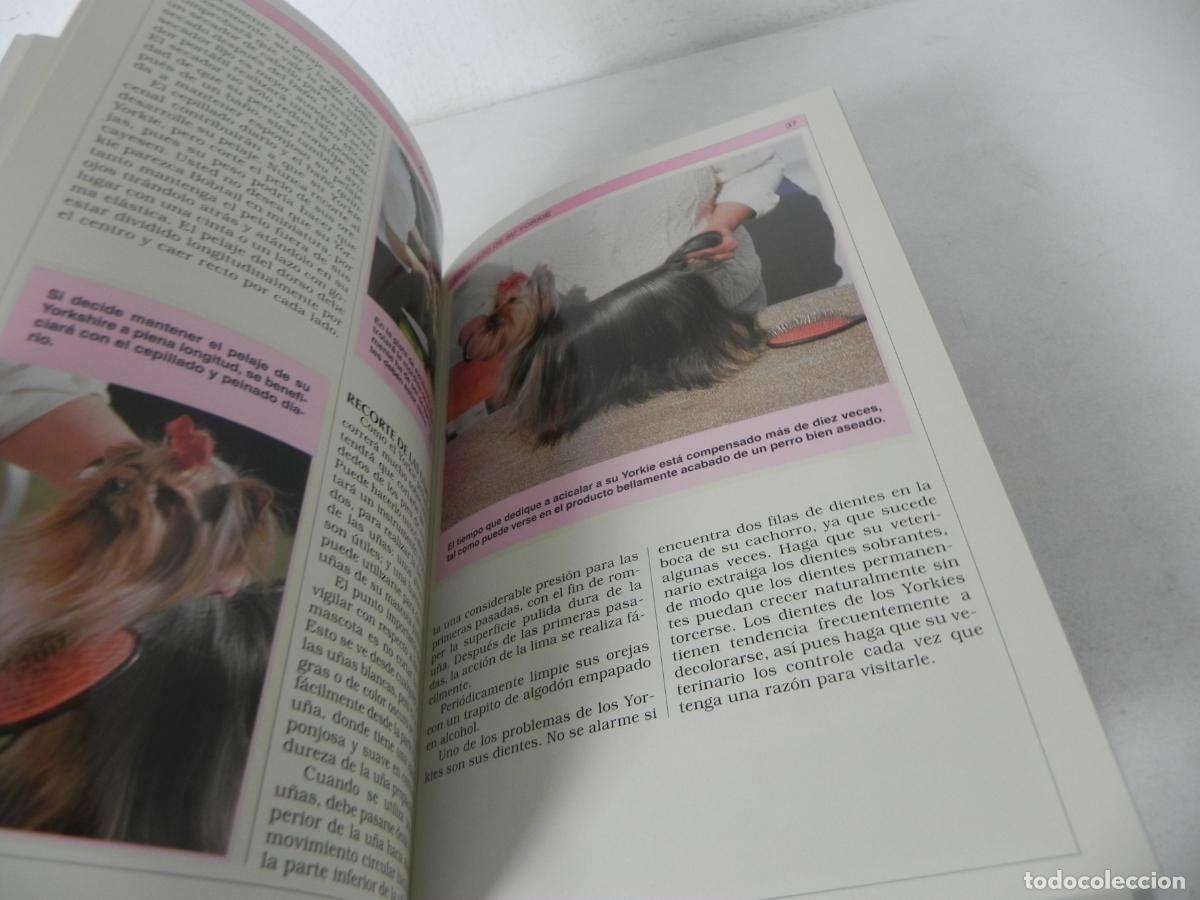 Libros de segunda mano: MANUAL PR&Aacute;CTICO DEL TORKSHIRE TERRIER (ELIZABETH DOWNIG) HISPANO EUROPEA-2002 - Foto 4