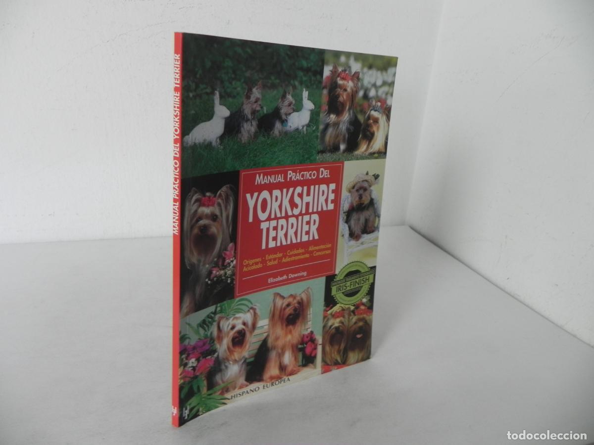 Libros de segunda mano: MANUAL PR&Aacute;CTICO DEL TORKSHIRE TERRIER (ELIZABETH DOWNIG) HISPANO EUROPEA-2002 - Foto 1