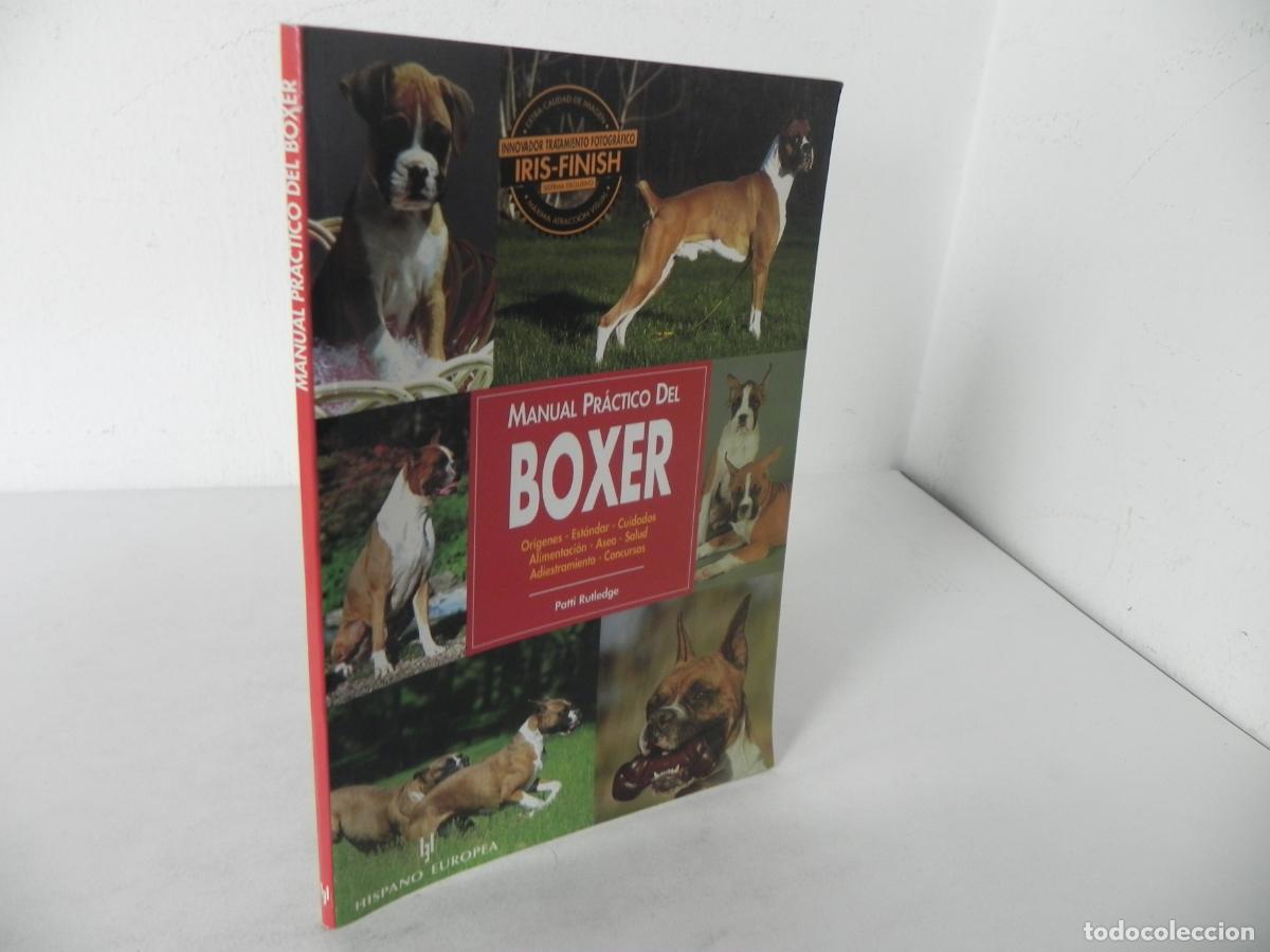Libros de segunda mano: MANUAL PR&Aacute;CTICO DEL BOXER (PATTI RUTLEDGE) HISPANO EUROPEA-2002 - Foto 2