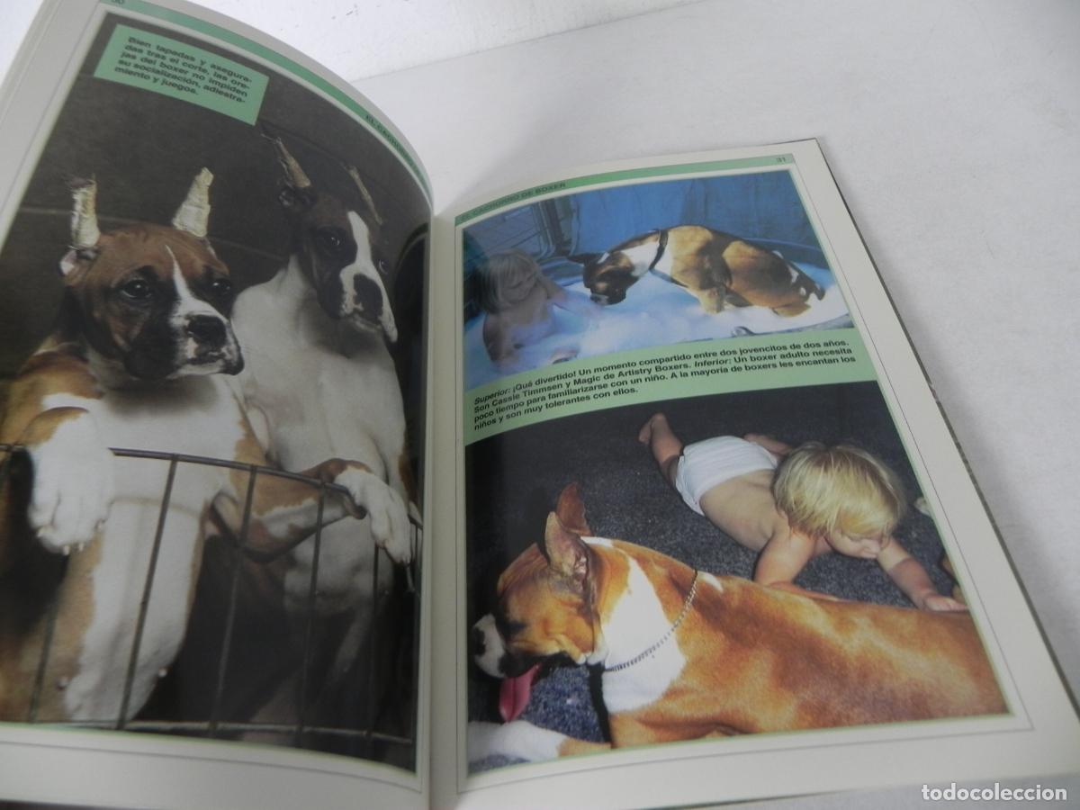 Libros de segunda mano: MANUAL PR&Aacute;CTICO DEL BOXER (PATTI RUTLEDGE) HISPANO EUROPEA-2002 - Foto 3