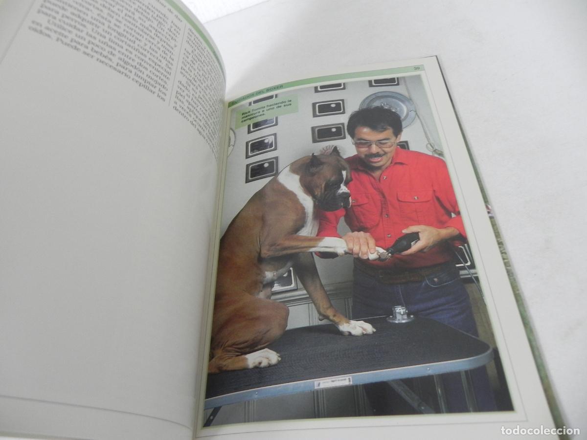 Libros de segunda mano: MANUAL PR&Aacute;CTICO DEL BOXER (PATTI RUTLEDGE) HISPANO EUROPEA-2002 - Foto 4