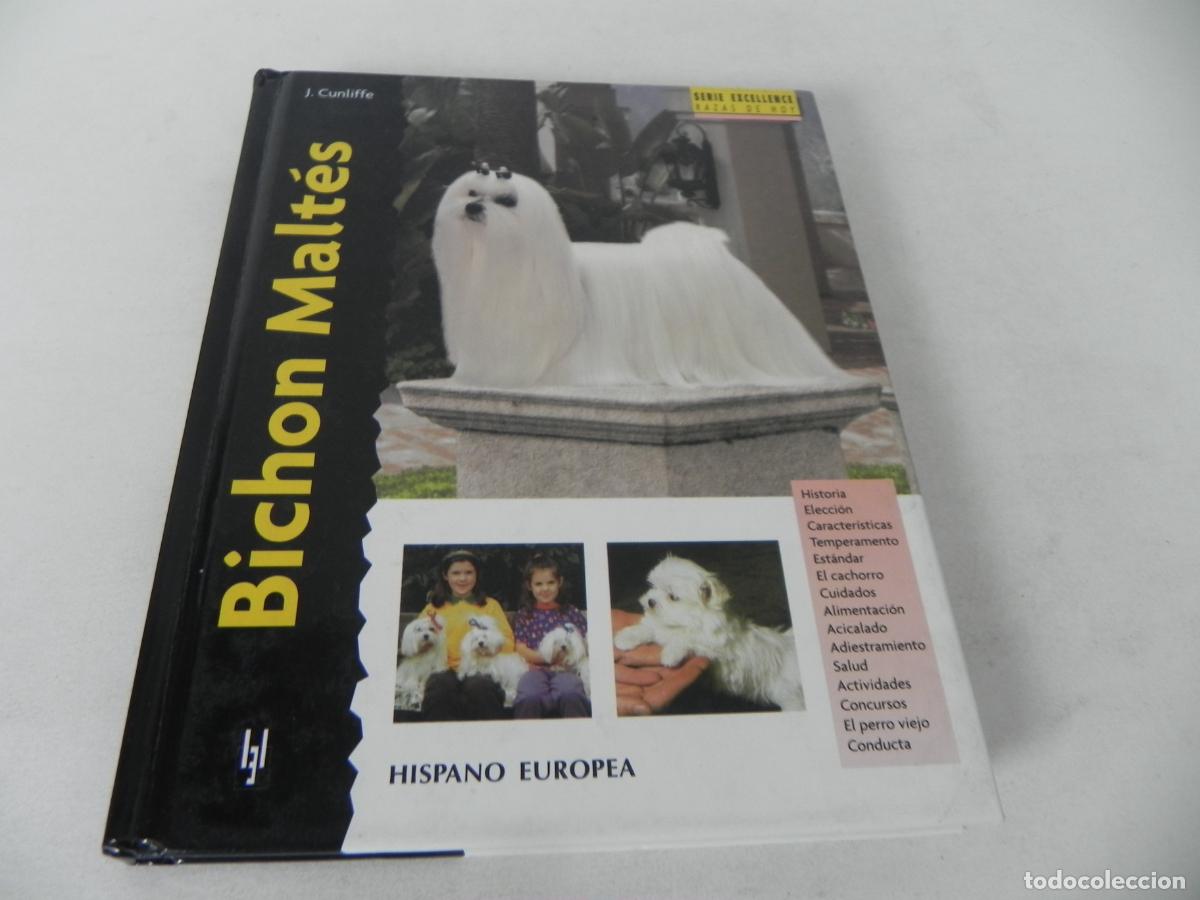 Libros de segunda mano: BICHON MALT&Eacute;S (JULIETTE CUNLIFFE) HISPANO EUROPEA-2003 - Foto 2