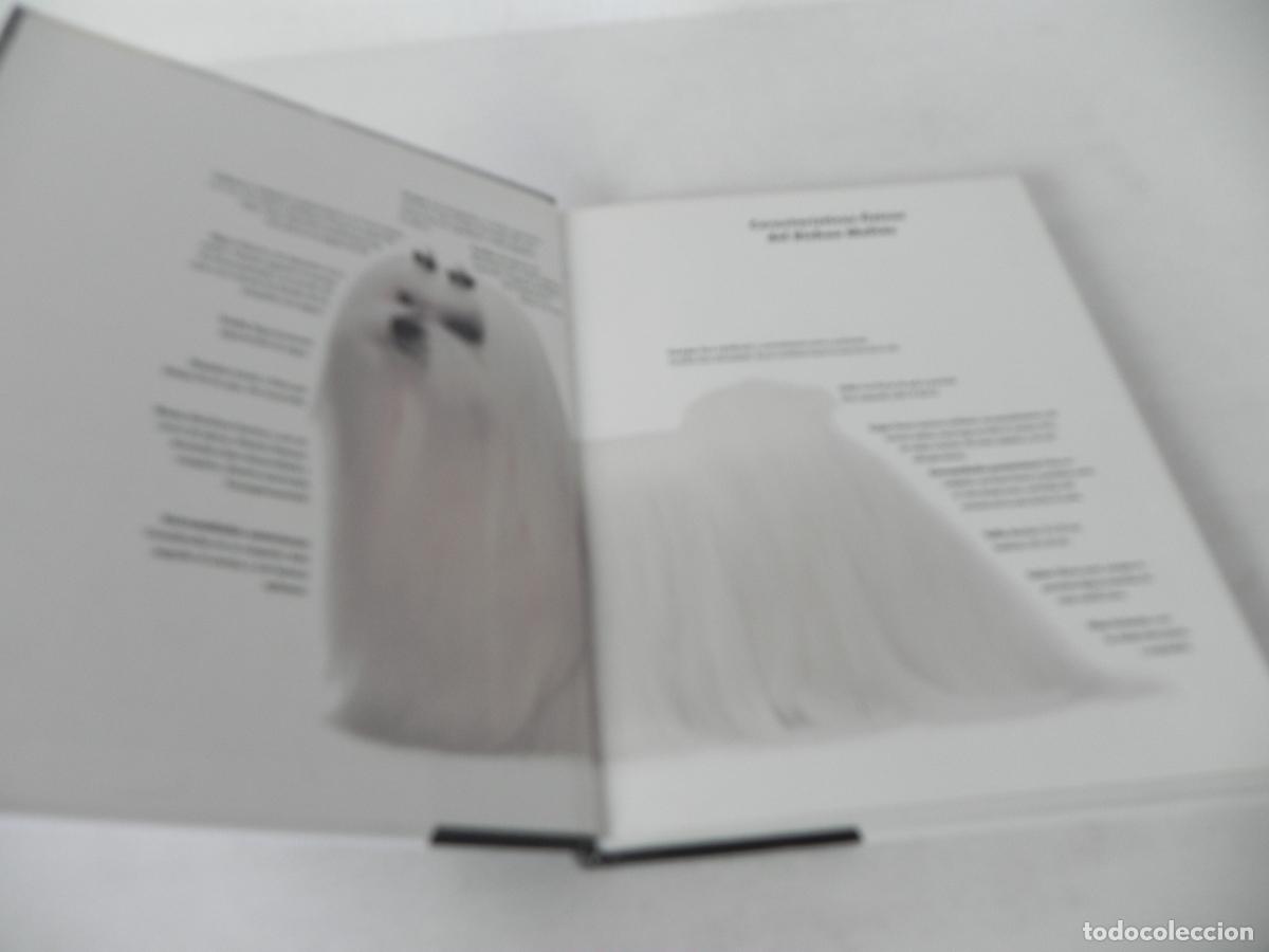 Libros de segunda mano: BICHON MALT&Eacute;S (JULIETTE CUNLIFFE) HISPANO EUROPEA-2003 - Foto 3