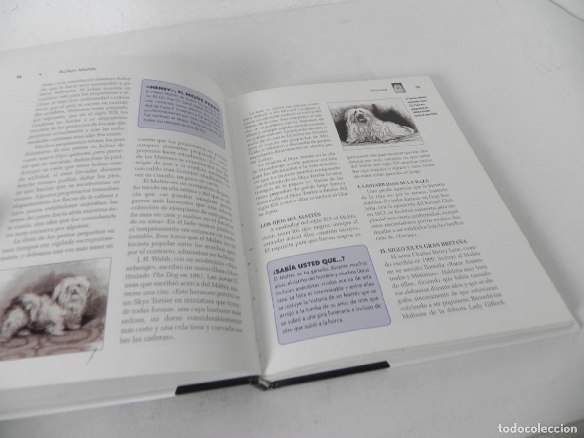 Libros de segunda mano: BICHON MALT&Eacute;S (JULIETTE CUNLIFFE) HISPANO EUROPEA-2003 - Foto 4