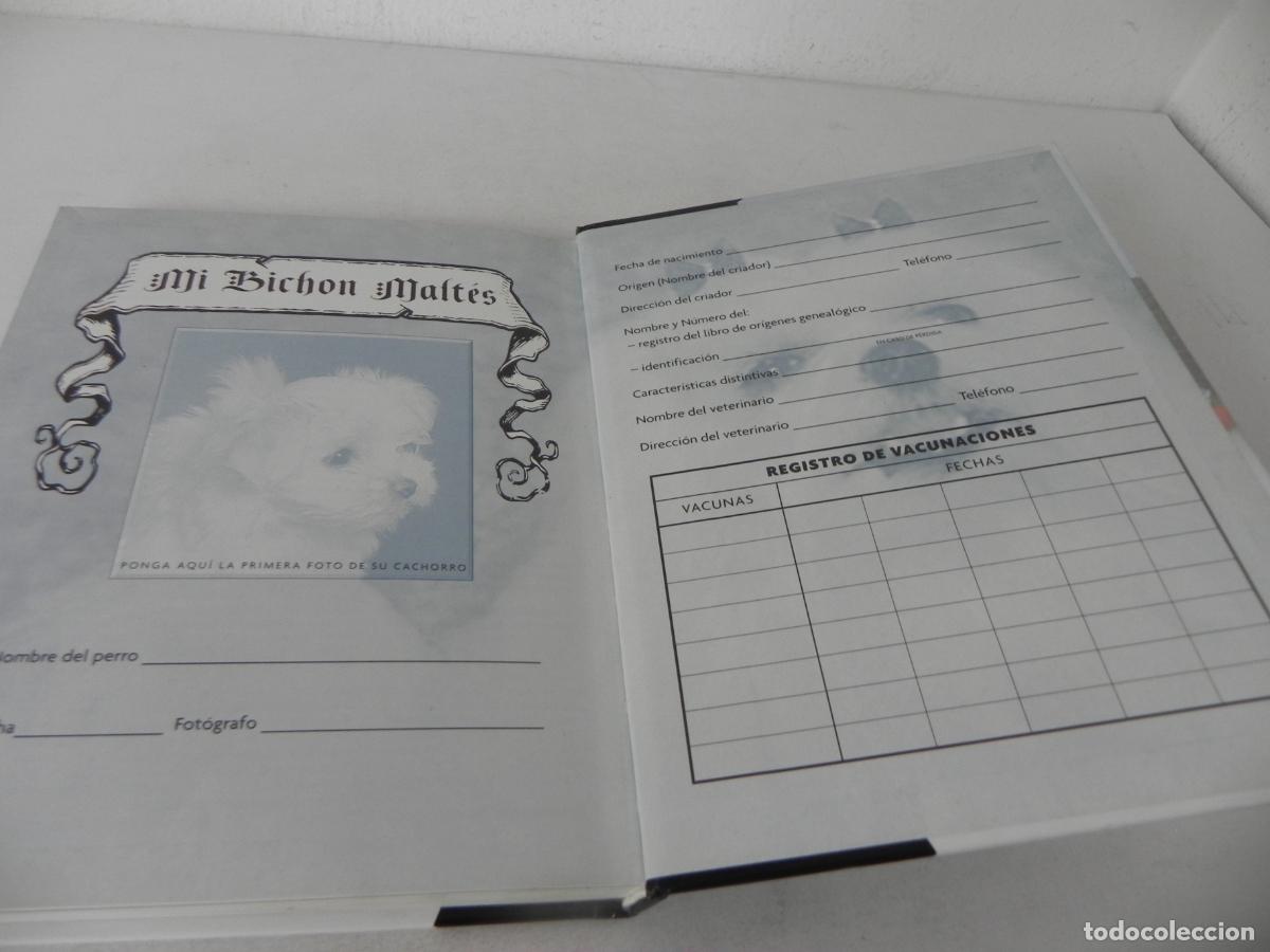 Libros de segunda mano: BICHON MALT&Eacute;S (JULIETTE CUNLIFFE) HISPANO EUROPEA-2003 - Foto 7