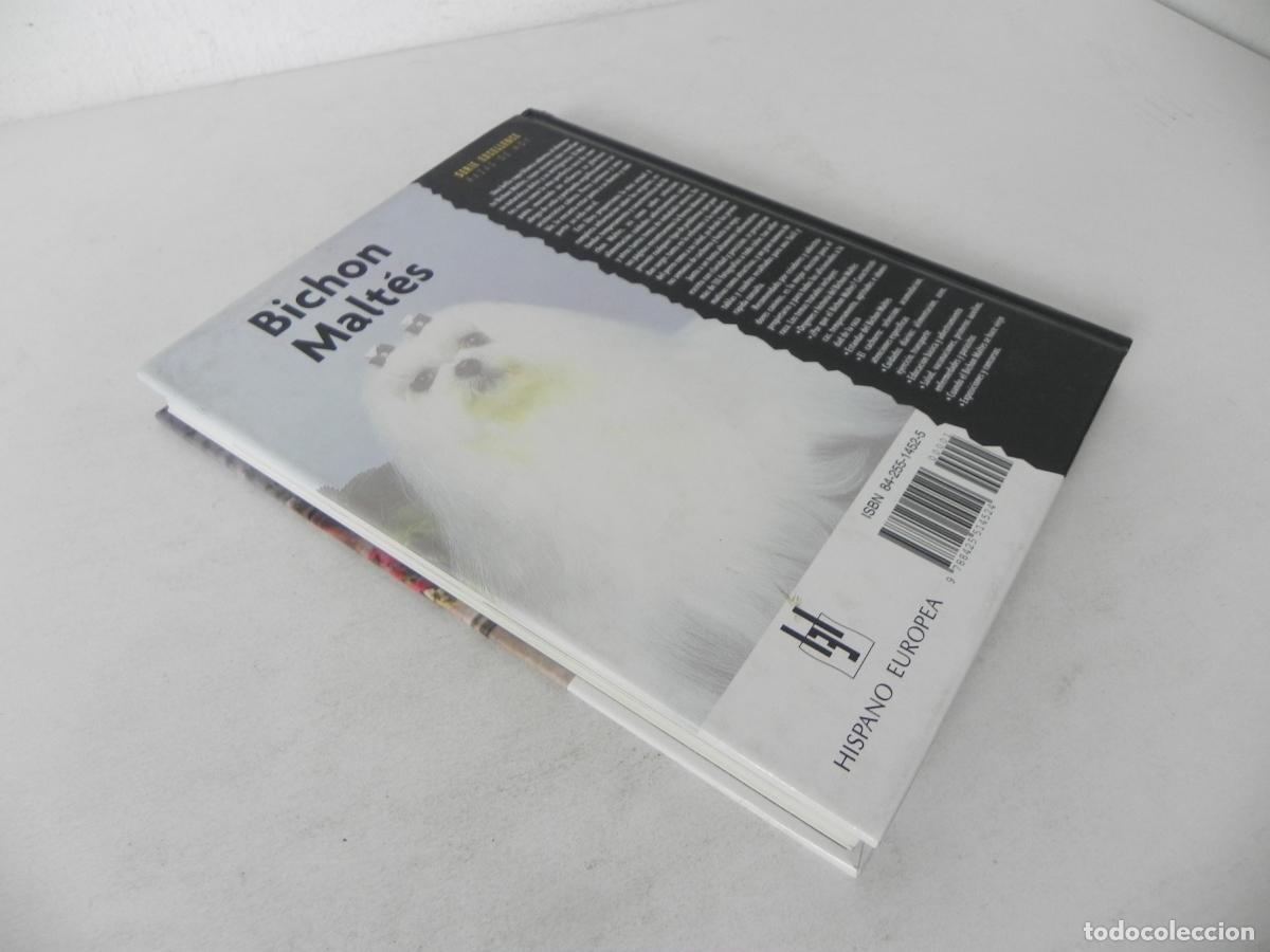 Libros de segunda mano: BICHON MALT&Eacute;S (JULIETTE CUNLIFFE) HISPANO EUROPEA-2003 - Foto 8