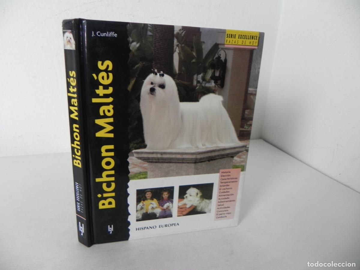 Libros de segunda mano: BICHON MALT&Eacute;S (JULIETTE CUNLIFFE) HISPANO EUROPEA-2003 - Foto 1