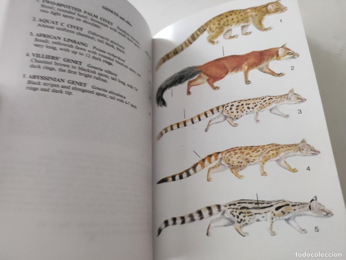 Libros de segunda mano: Large mammals of &Aacute;frica. - Foto 3