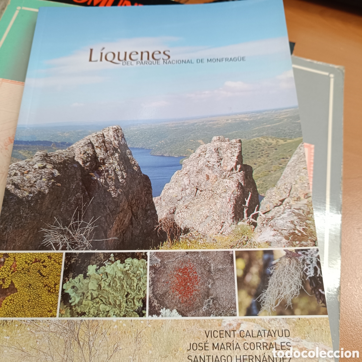 Libros de segunda mano: Liquenes del Parque Nacional de Monfrague (Como Nuevo) - Foto 1