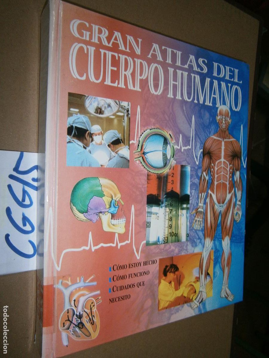 Libros de segunda mano: ESPECTACULAR LIBRO - EL GRAN ATLAS DEL CUERPO HUMANO - Foto 1