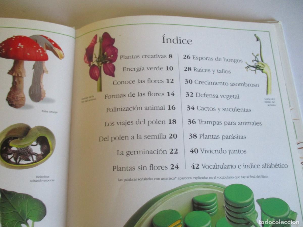 Libros de segunda mano: BARBARA TAYLOR Plantas W28261 - Foto 2