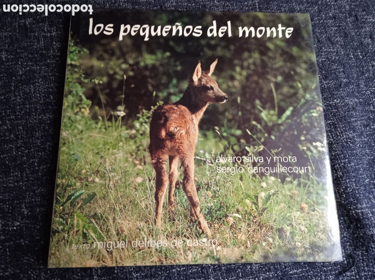 Libros de segunda mano: Los peque&ntilde;os del monte. / Miguel Delibes de Castro - Foto 1