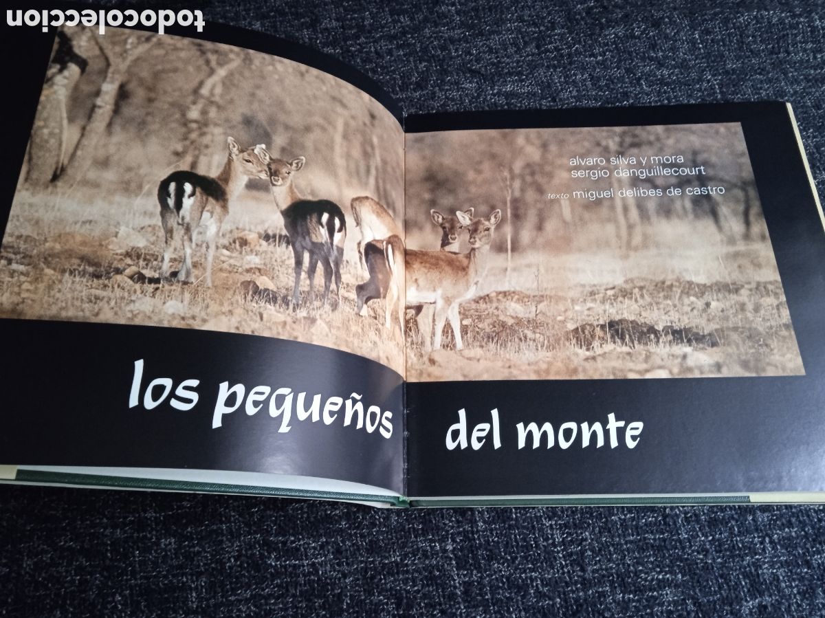 Libros de segunda mano: Los peque&ntilde;os del monte. / Miguel Delibes de Castro - Foto 2